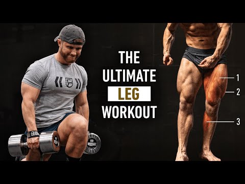 The Ultimate Science-Based Leg Day For Muscle Growth (2023) 