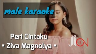 Peri Cintaku - Ziva Magnolya (male karaoke)