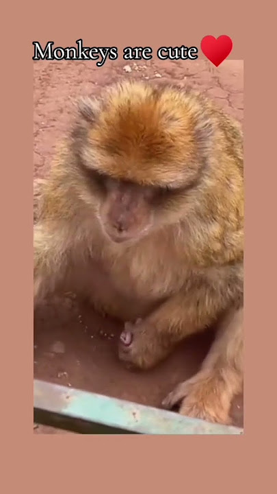 Masturbation in another level 🤣🤣