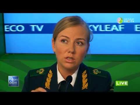 Росприроднадзор — о стройке в Сочи