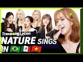 K-POP STARS sing in THREE Languages🎤| POR/SPN/VIET | NATURE | TRANSONGLATION