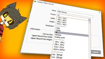 how to make paint tool sai canvas presets Tutorial