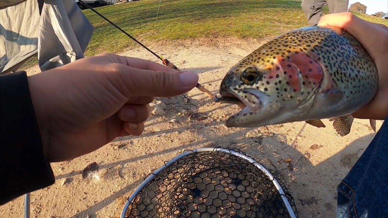 Trout Fishing With Notorious Jigs YouTube