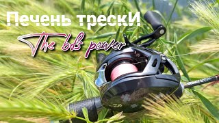 Кастинговое мракобесие или токсичный каст ☢️ daiwa gekkabigin air tw+kkr t35+CF nano zero*0.24g = ?