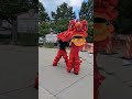 Lion Dance Standing Roll