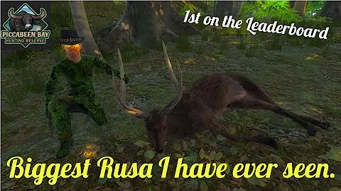 the Hunter Classic: 1st on the Leaderboard... my Biggest Rusa ever!!!