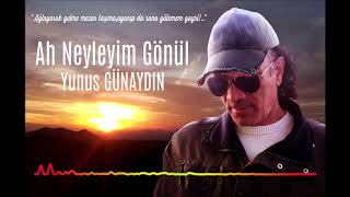 Ah Neyleyi̇m Gönül
