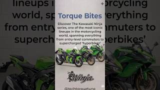 Follow @techtorquetune #Kawasaki #KawasakiNinja #NinjaZX10R #SuperbikesIndia #SportsBikes #bikeride