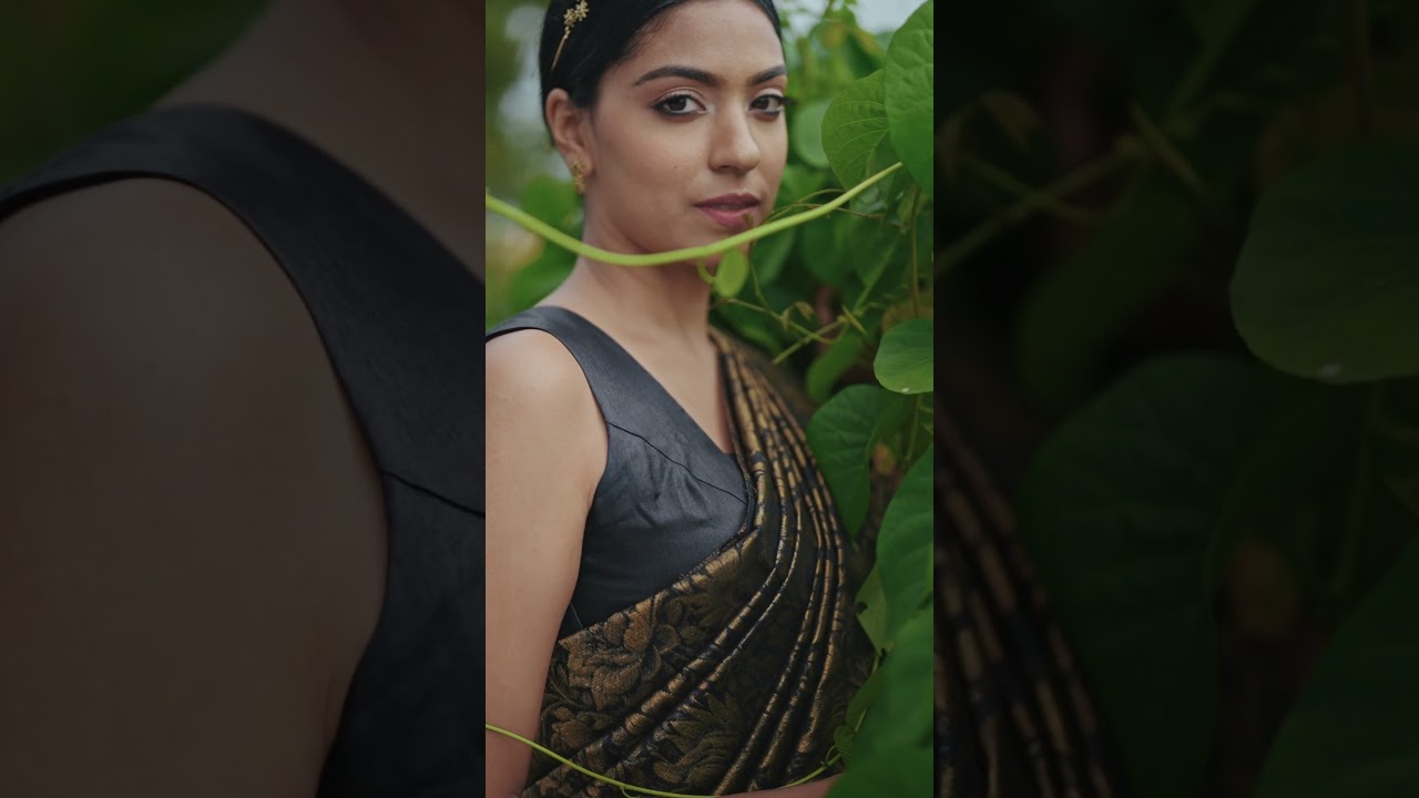 Discover Traditional Elegance: Exclusive Saree Collection at LuLu Celebrate