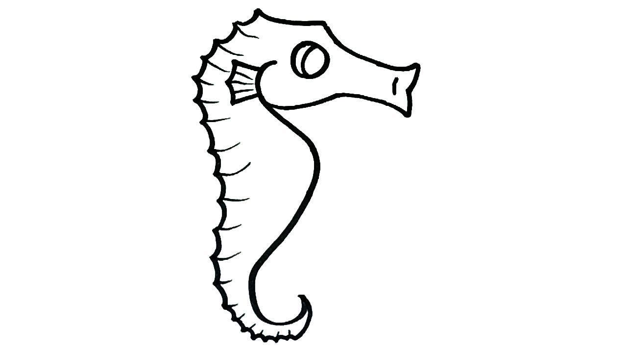 how to draw a seahorse step by step