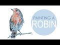 Painting a robin in watercolor  tutorial  speed painting