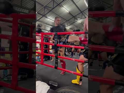 Train hard, fight