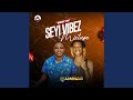 Best Of Seyi Vibez (Mixtape)