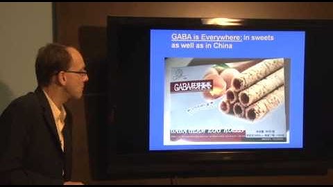 Dr. Georg Northoff talks about the neurophilosophy in researching the brain