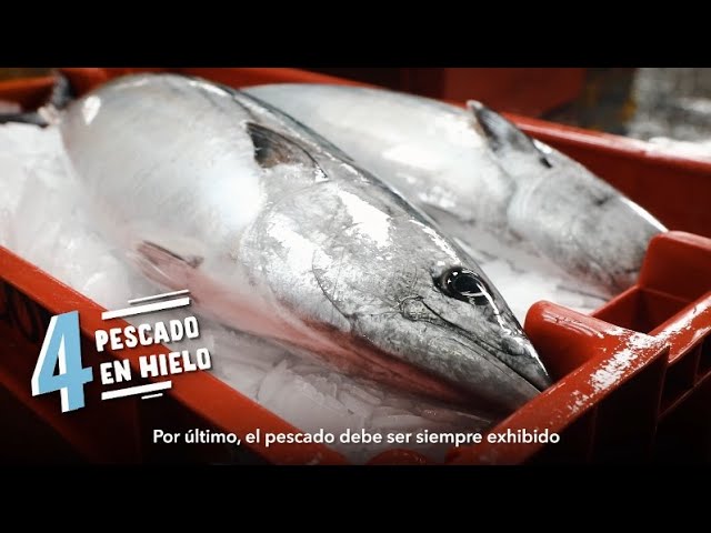 5 trucos para saber si el pescado es fresco, de forma sencilla y rápida