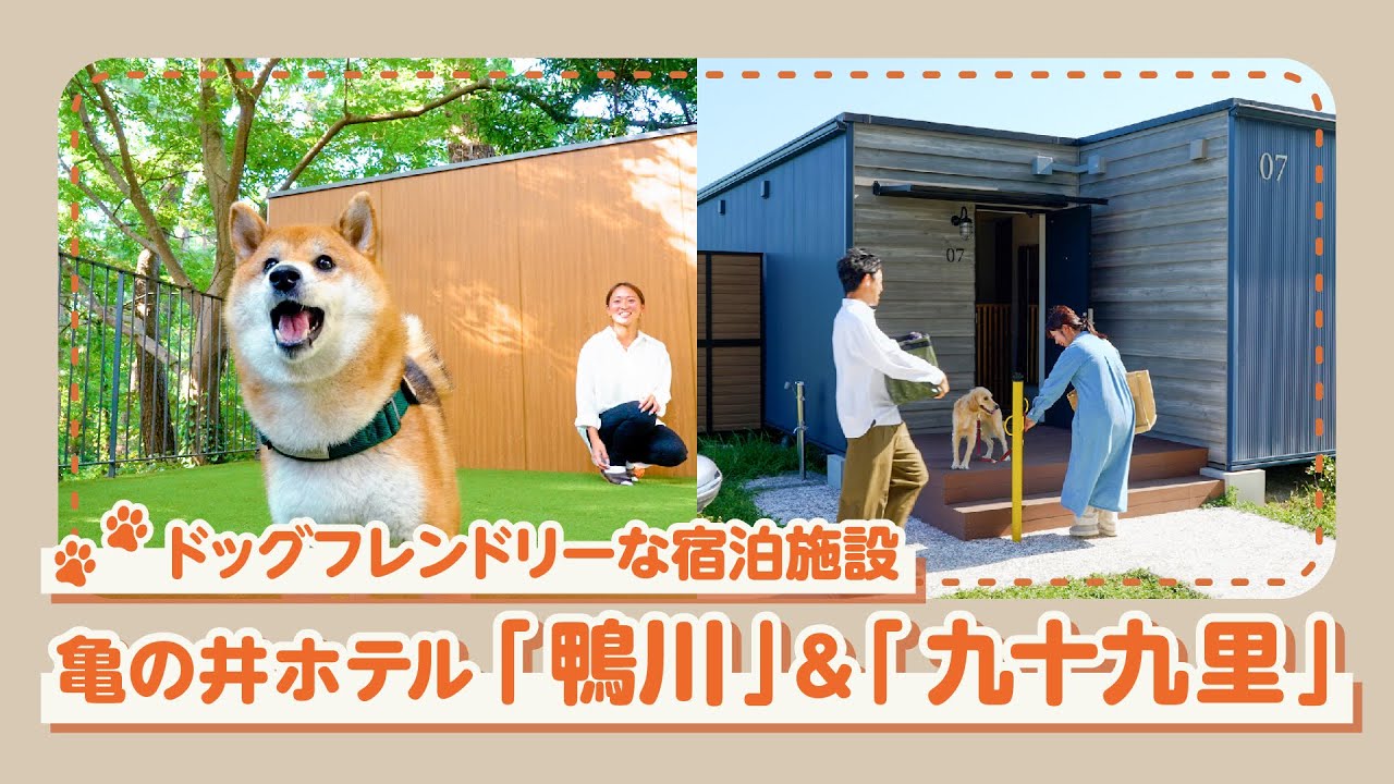 専用ドッグラン付き！新しくなった「亀の井ホテル 鴨川」＆「亀の井ホテル 九十九里」