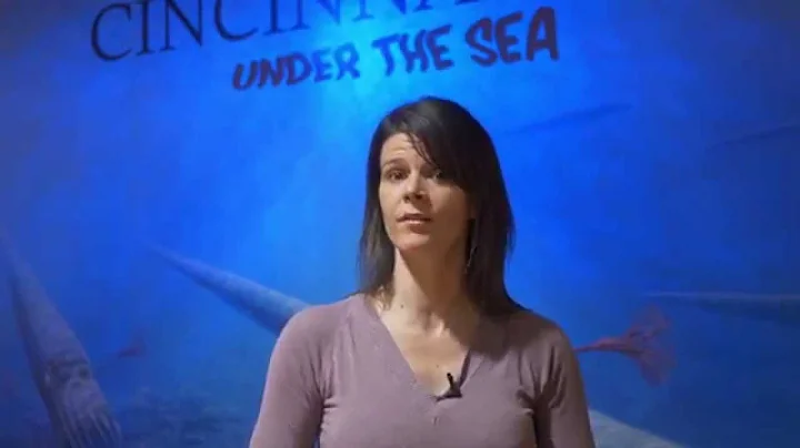 Cincinnati Under the Sea with Brenda Hunda: Introd...