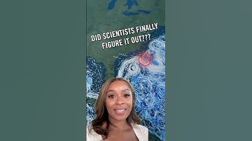 Did we finally figure out the AMOC?