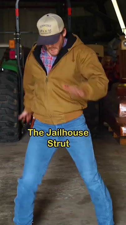 ELVIS DANCE MOVES TO LEARN 🕺🏼🙌🏻 #dance #elvispresley #farm