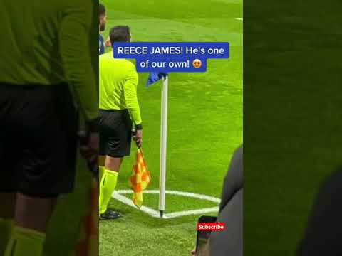 love Chelsea fan