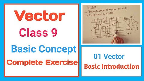 01 Vectors in Maths | Introduction to Vectors Class 9 ||Complete exercise with Basic concept #vector