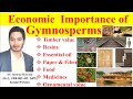 Economic importance of Gymnosperms #gymnosperms as a Timber, Resins, Paper,  Food  and Medicines.