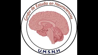 Neuroimagen Dx De los Nervios Craneales