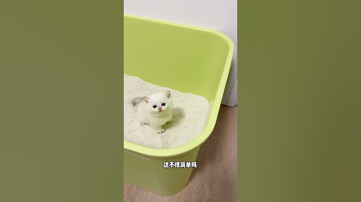 【牛奶是只猫】当小奶猫第一次用猫砂盆上厕所...没想到最后竟然