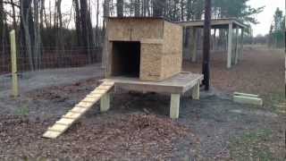 Raising Goats on a Small Farm | Building a Goat House