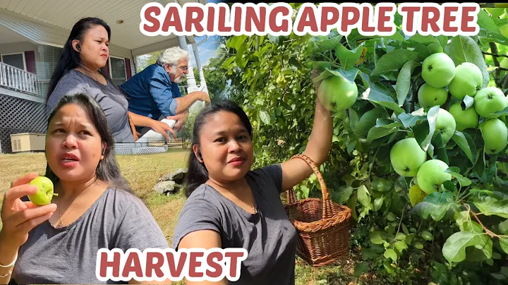 ANG SAYA PAG MAY APPLE NA KAHOY - MaryAnn RealityTV