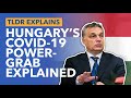 Is Hungary a Dictatorship Now? Orban's Controversial Coronavirus Law Explained - TLDR News