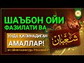 БУ ОЙНИ ҒАФЛАТДА ЎТКАЗМАНГ - ШАЪБОН ОЙИ ФАЗИЛАТИ ВА УНДА ҚИЛИНАДИГАН АМАЛЛАР @SAJDA MEDIA