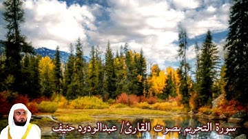 سورة التحريم بصوت القارئ/ عبد الودود حنيف - Surat Attahreem