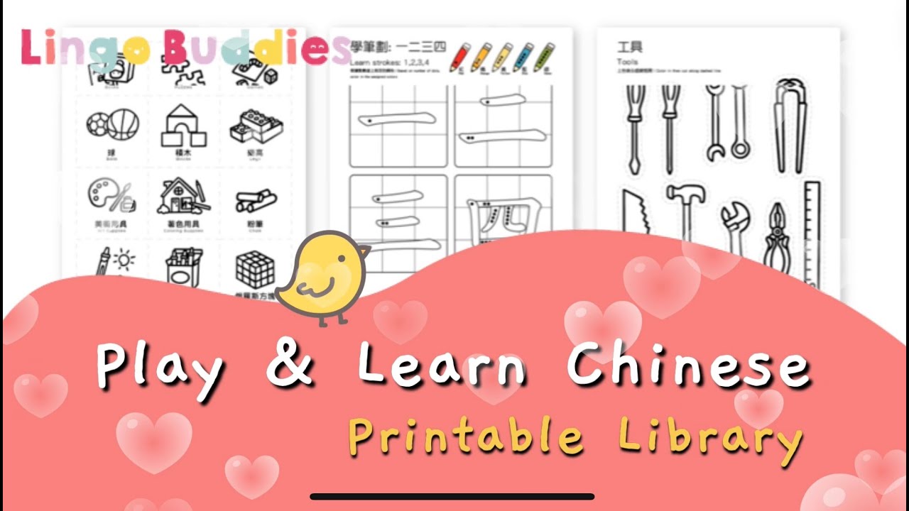 Dino Lingo Chinese for kids 6枚セット Dino Lingo Chinese for kids 6枚セット Amazon.com: Dino Lingo