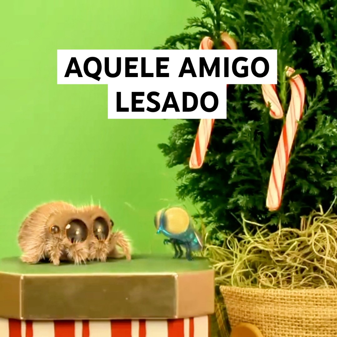 COITADA DA ARANHA SÓ QUERIA SABER O NOME DELE #shorts