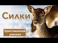 🟤 Силки - ИНТЕРЕСНЫЙ ХРИСТИАНСКИЙ РАССКАЗ на Рождество | Христианские рассказы