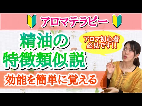 【簡単に覚える方法】アロマ精油の特徴類似説 アロマテラピー検定