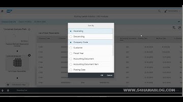 SAP S/4HANA Embedded Analytics - Smart Business - Working Capital Days Sales Outstanding (DSO)