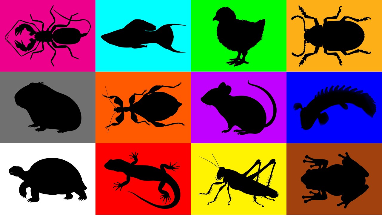 Животные: ящерица, черепаха, морская свинка, листоед, скорпион, перепел, лягушка, кузнечик, жук, ...