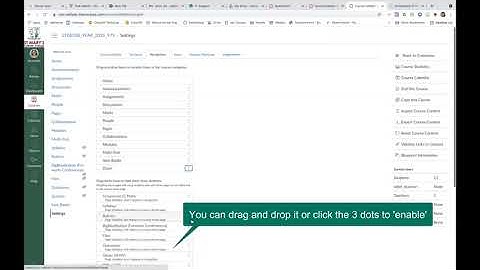Zoom in Canvas Course Navigation