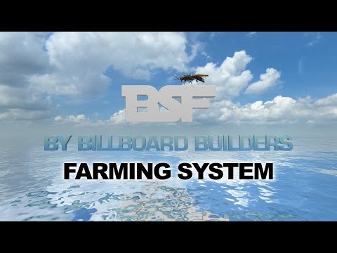 Professional BSF farming,