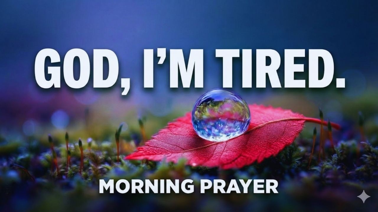 For The Soul That Is Tired of Trying: A Prayer for Surrender.#morningprayer