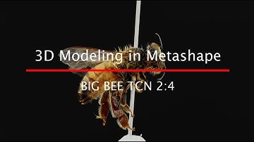 BIG BEE TCN 2:4 3D Modeling in Metashape (Technical Version)