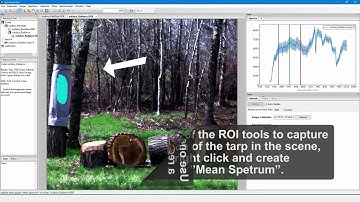 Tutorial - Outdoor Hyperspectral System: converting raw data to reflectance