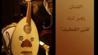 زهي لباد - مرحوم ياللي مات بأول شبابه screenshot 4