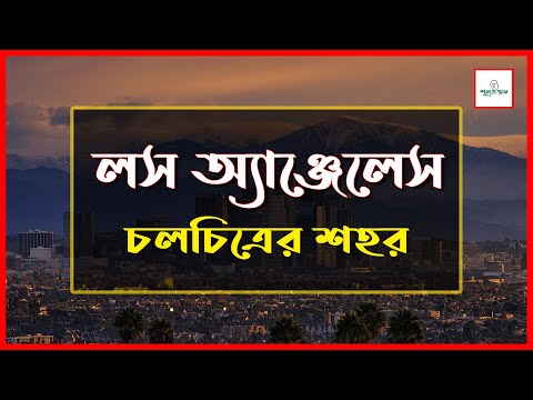 ভিডিও: লস এঞ্জেলেস কাউন্টিতে পালক পিতামাতারা কত বেতন পান?