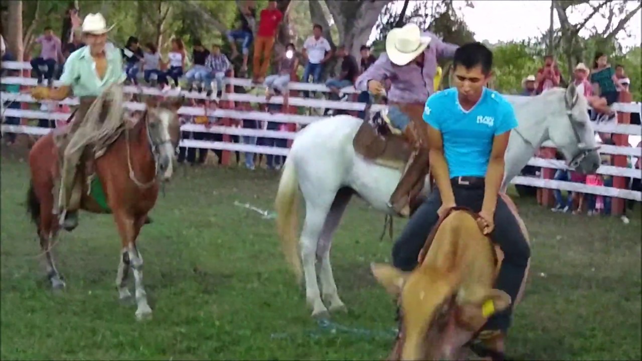 Jaripeo ranchero celebrado en San Francisco Ver. YouTube