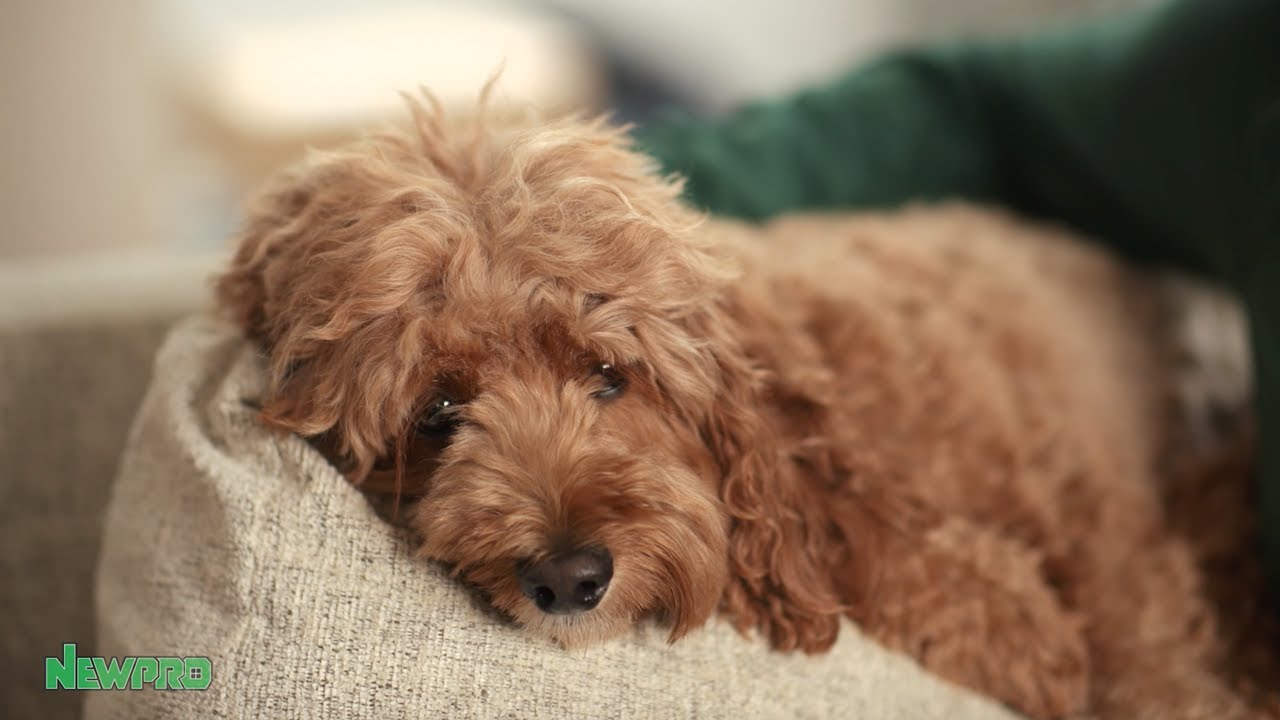 🏡🔨 It's TIME: It is home improvement season here in New England.