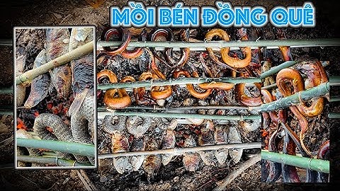 Cuộc sống săn bắt mùa nước nổi 2024 - Tập 10 | Gấc Quê