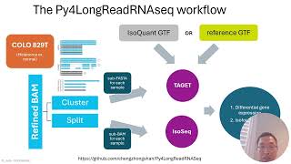 SJ Biohackathon T1 PacBio Long Read RNA Seq Analysis Pipeline